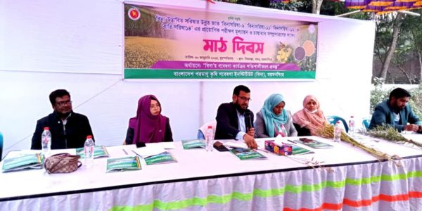 দেশের ভোজ্যতেলের আমদানি কমাবে ‘বিনাসরিষা-১১’